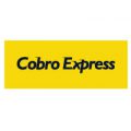 log-cobro-express-200
