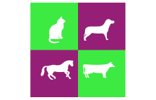 Agroveterinaria Liniers