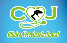 Clínica Veterinaria Juncal