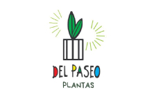 Del Paseo Plantas
