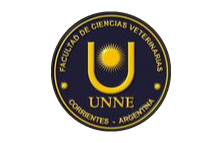 Hospital Escuela Clínicas Ii