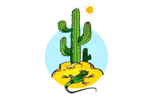 EL CARDON