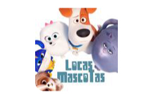 Locas Mascotas