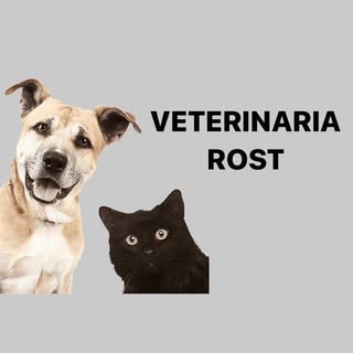 Veterinarias Rost