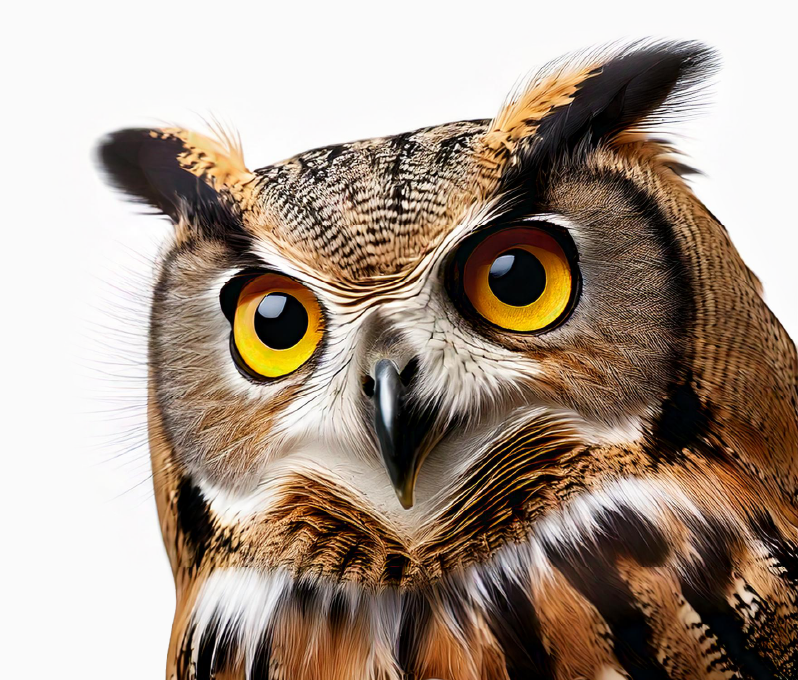 Asesoramiento empresas