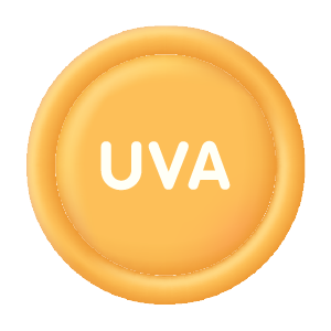 UVA